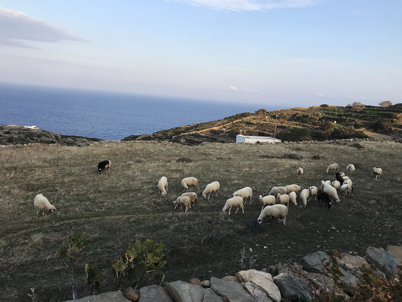 Sifnos Wheatfield House