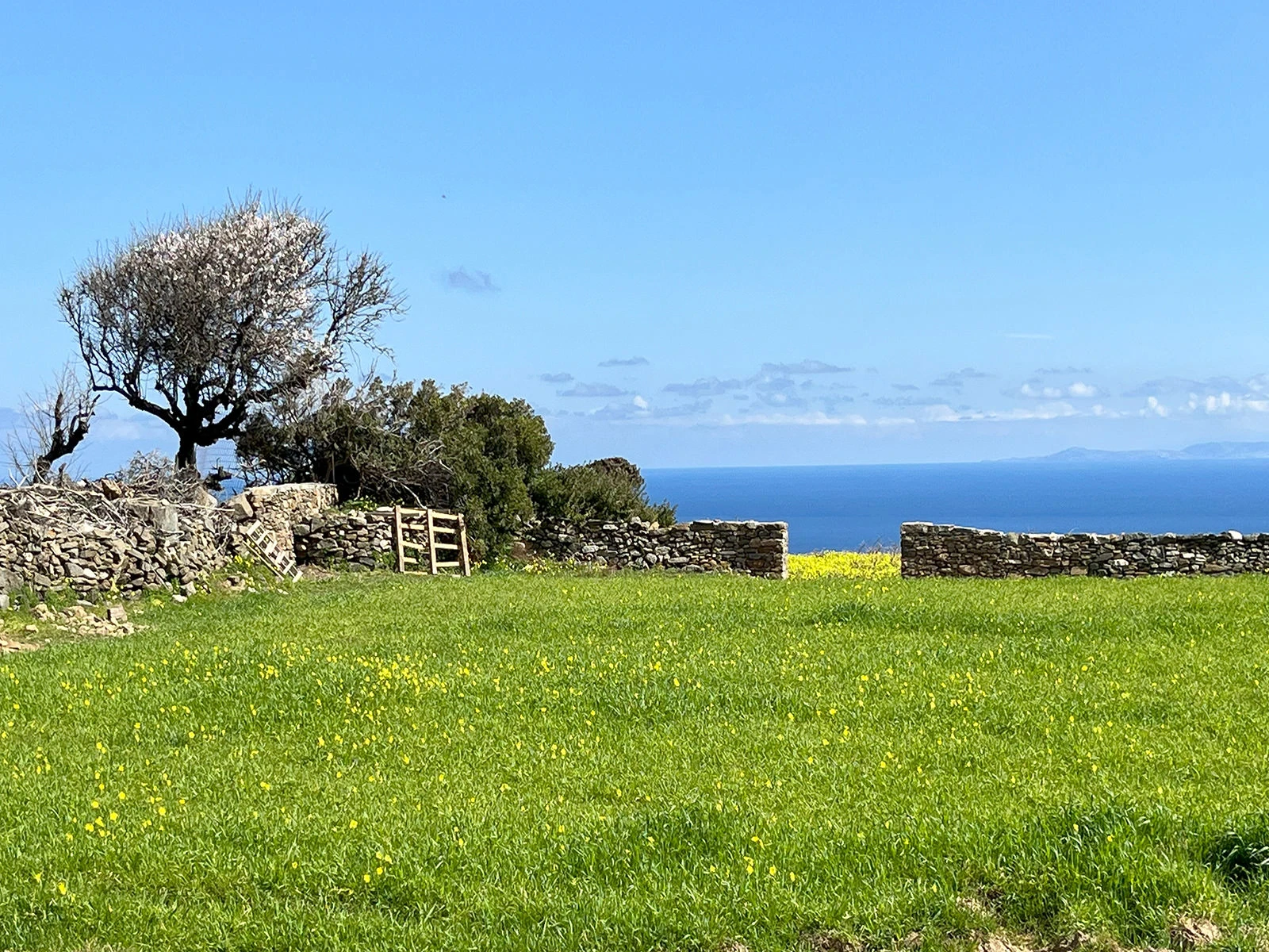 Sifnos Wheatfield House