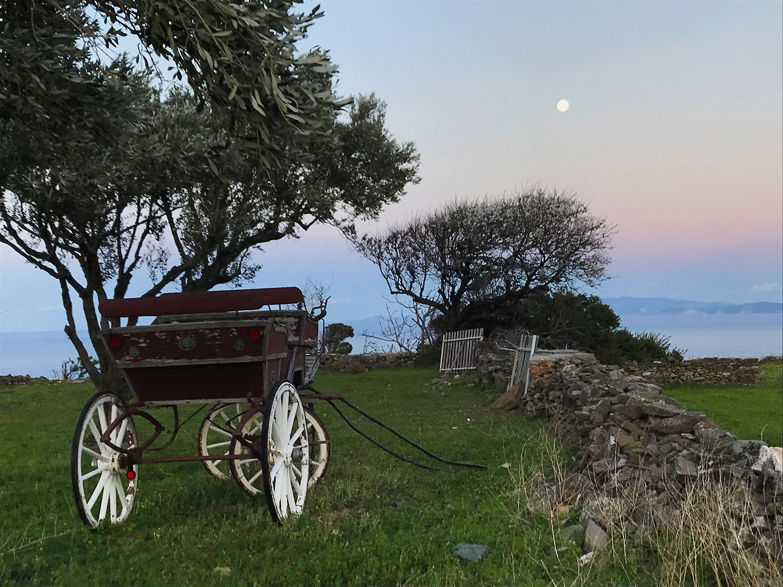 Field-7-Olive-Carriage-Moon