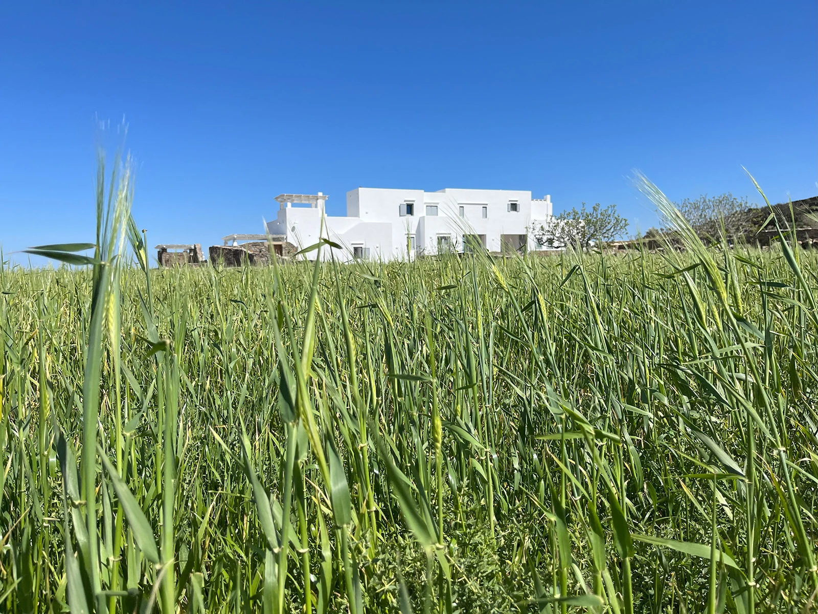 _SifnosWheatfieldHouse_Landscape-10