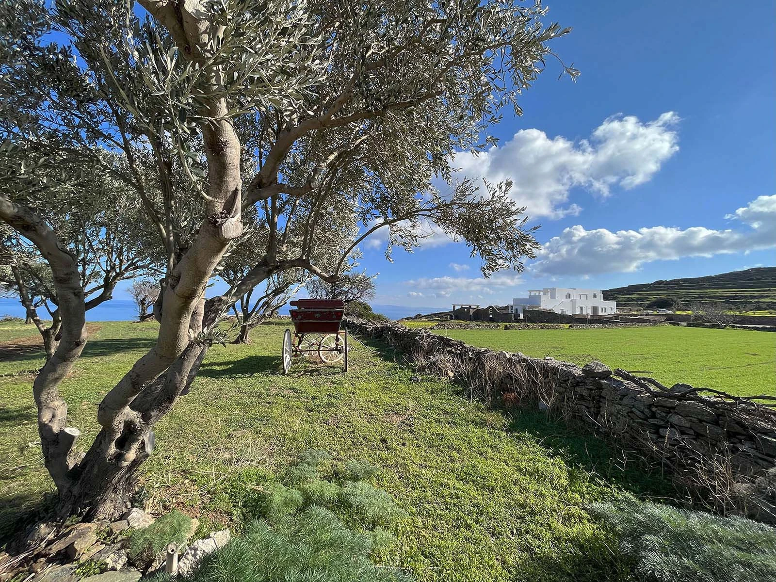 _SifnosWheatfieldHouse_Landscape-6