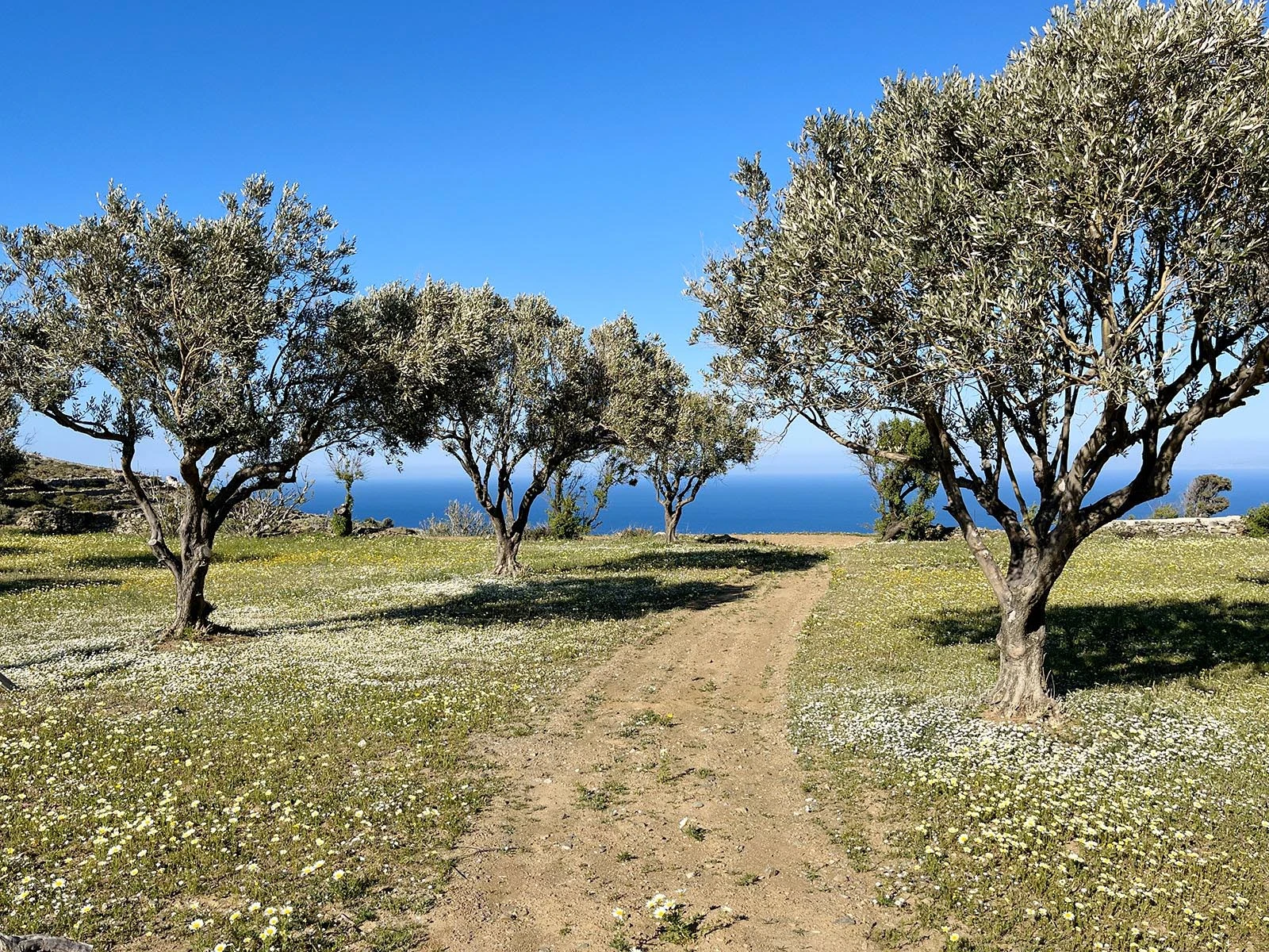 _SifnosWheatfieldHouse_Landscape-9