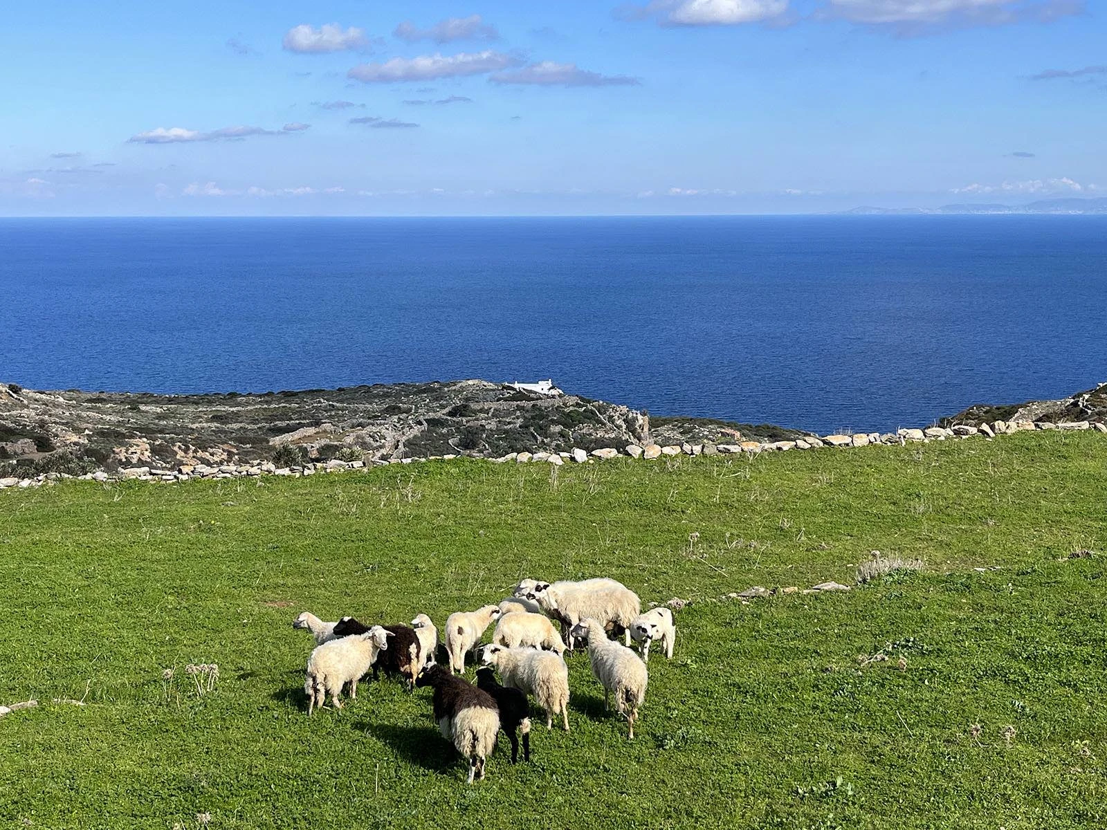 The Wheatfield House Sifnos - Agriculture